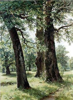 Ivan Shishkin : shi-oaks